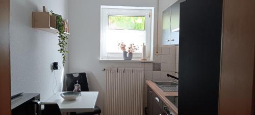 a small kitchen with a sink and a window at Ferienappartment Schneiderbanger in Bad Wildungen