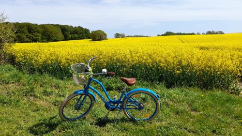 Jízda na kole v ubytování Ferienhaus Waldidyll - Erholung zwischen Schlei und Ostsee nebo okolí