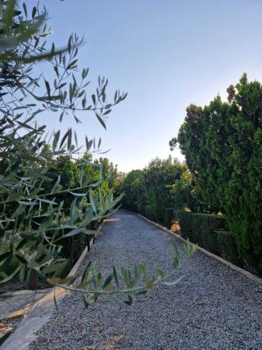 a gravel road with bushes and trees on it at Agriturismo la Mandragola Relais in Crotone