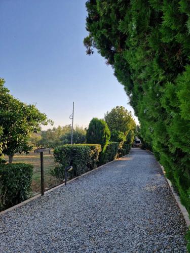 a gravel road lined with bushes and trees at Agriturismo la Mandragola Relais in Crotone