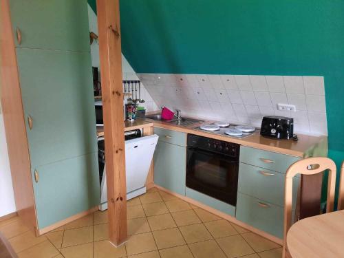 a kitchen with green walls and a stove top oven at Ferienhaus LEA in Grabowhöfe