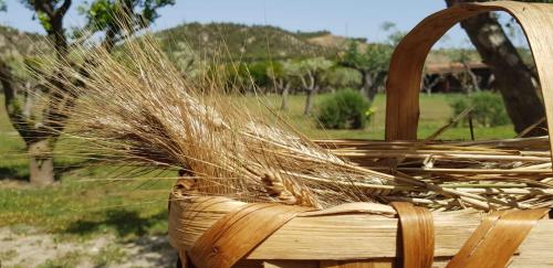 a basket full of tall grass sitting on a bench at Agriturismo la Mandragola Relais in Crotone