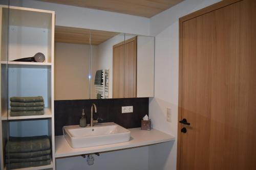 a bathroom with a sink and a mirror at Ferienwohnung BergTraum in Schoppernau