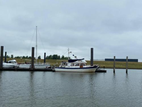 Seewolf photo 40