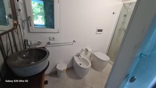 a bathroom with a sink and a toilet and a mirror at Country House La Villa in Villadossola