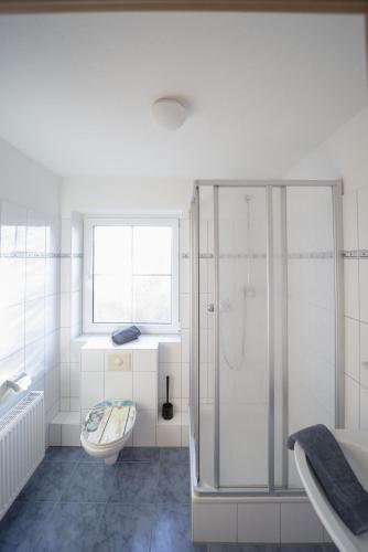 a white bathroom with a shower and a toilet at Ferienhäuser Greetsiel - Urlaub mit Haustier in Ostfriesland in Greetsiel