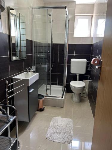 a bathroom with a shower and a toilet and a sink at Apartman Franjicic in Korenica