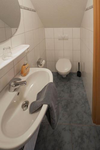 a bathroom with a sink and a toilet at Ferienhäuser Greetsiel - Urlaub mit Haustier in Ostfriesland in Greetsiel