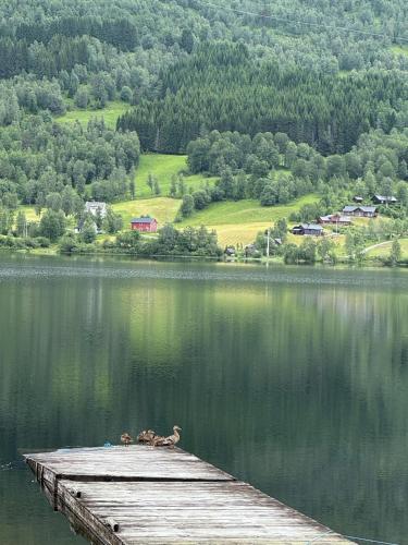 Φωτογραφία από το άλμπουμ του Vossestølen Hotel σε Vossestrand
