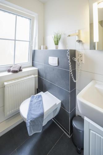 a bathroom with a toilet and a sink at Ferienhäuser Greetsiel - Urlaub mit Haustier in Ostfriesland in Greetsiel