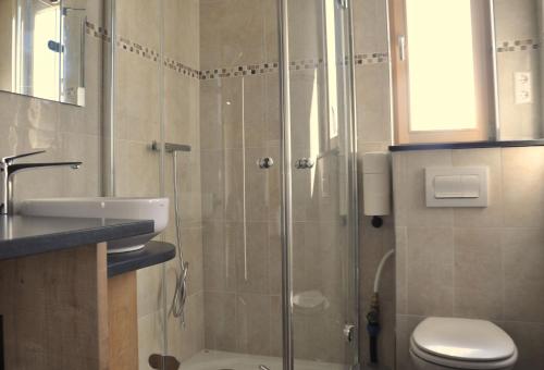 a bathroom with a shower and a toilet and a sink at Kellerwald Chalet in Schmittlotheim