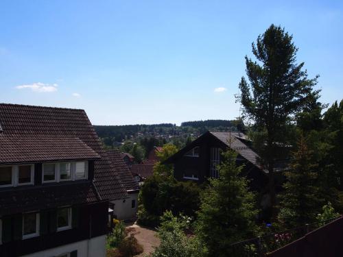 Příroda nedaleko apartmánu