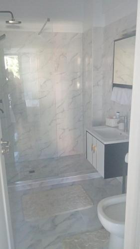a bathroom with a shower and a toilet and a sink at Nicholas Studio Saturn in Mangalia