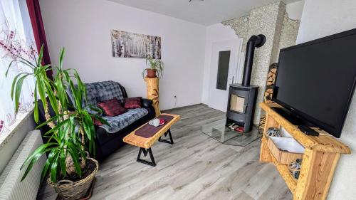 Μια τηλεόραση ή/και κέντρο ψυχαγωγίας στο Landmanns Home