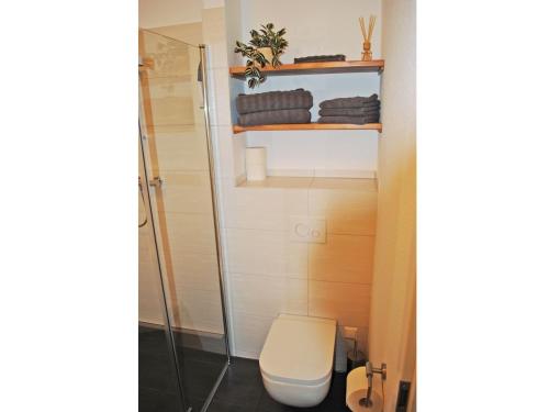 a bathroom with a toilet and a shower at Ferienwohnung in der Altstadt in Bad Bevensen