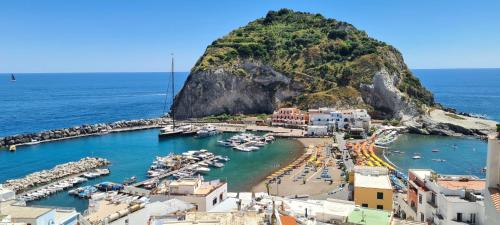 a view of a harbor with boats in the water at La Casa di Tina in Ischia