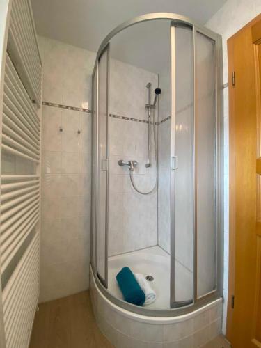 a shower with a glass door in a bathroom at Süderhaus Hiddensee App 4 in Neuendorf