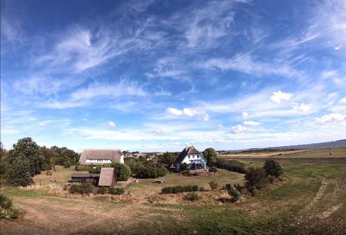 an open field with a house in the middle at Süderhaus Hiddensee App 4 in Neuendorf
