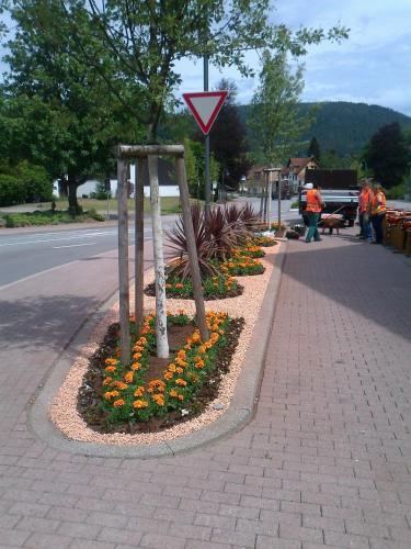 a flower garden on the side of a street at Garni Hotel Adler Post in Baiersbronn