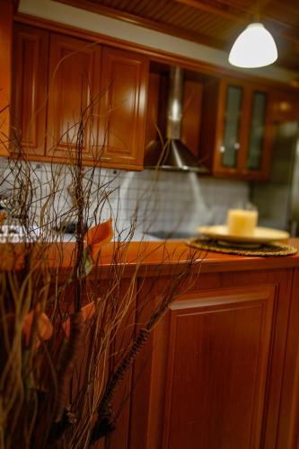 a kitchen with wooden cabinets and a counter top at Fairy Dreams in Konitsa