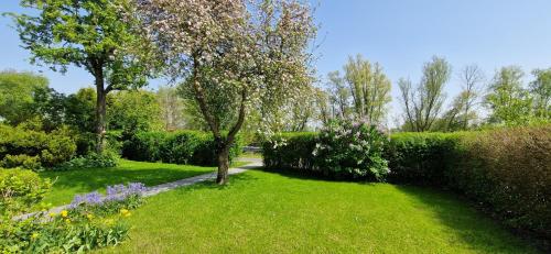 un jardín con césped, arbustos y un árbol en Nr 150 - Ferienhaus An't Deep, en Neufunnixsiel