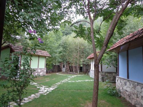 Vườn quanh Bike hotel