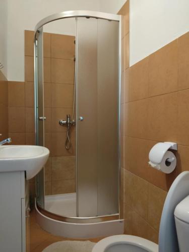 a shower with a glass door in a bathroom at Pokoje gościnne Jacek in Polańczyk