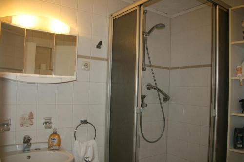 a bathroom with a shower and a sink at Bungalow am Hellbach XL im Ostseeland in Neubukow