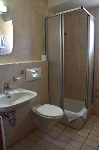 a bathroom with a toilet and a shower and a sink at Scheffel - Gasthof in Gößweinstein