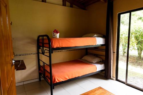 a room with two bunk beds with a cat sitting on top at Essence Arenal Spa & Yoga in El Castillo de La Fortuna