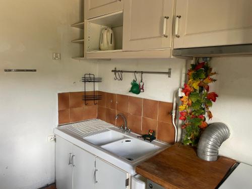 a kitchen with a sink and a counter at l'atelier in Saint-Martin-des-Champs