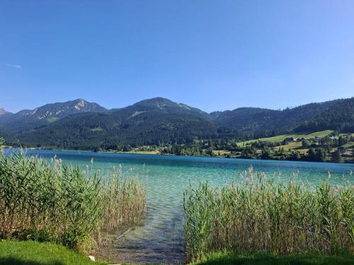 a view of a lake with mountains in the background at Ferienwohnung Grünspecht in Dellach im Drautal
