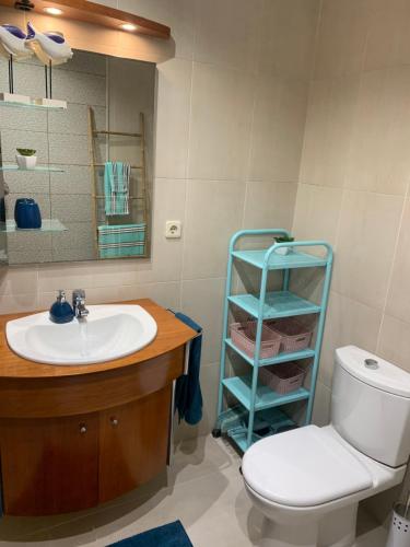 a bathroom with a sink and a toilet and a mirror at Your sweet home near Aveiro! in Marco da Oliveirinha
