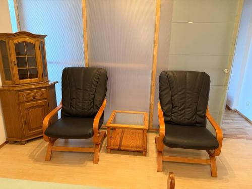 two chairs sitting next to each other in a room at Agroturystyka pod Wieżą in Chojna