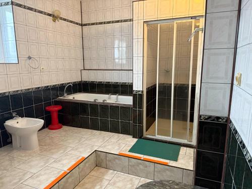 a bathroom with a tub and a toilet and a shower at Agroturystyka pod Wieżą in Chojna