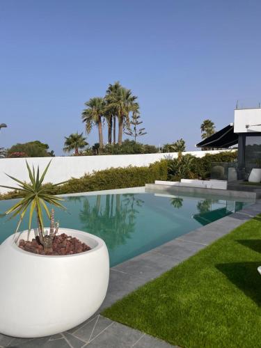 a plant in a pot next to a swimming pool at Villa Essencia in Zahara de los Atunes