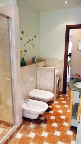 a bathroom with a white toilet and a shower at Faggio 15a in Isola Albarella
