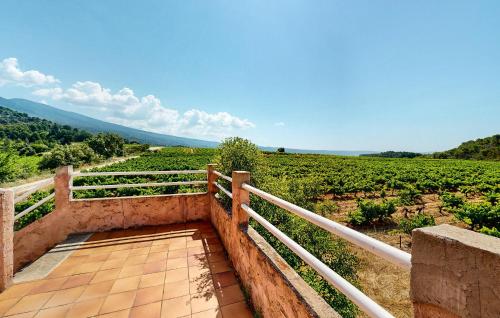 Un puente con vistas a un campo de uvas. en 3 Bedroom Stunning Home In Bédoin, en Bédoin