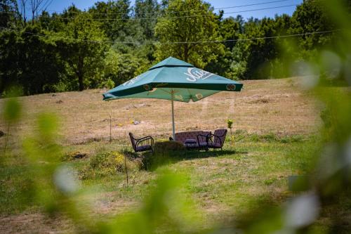 a table and chairs under an umbrella in a field at Etno domaćinstvo Dvožak in Pluzine