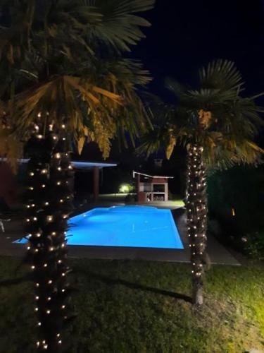 a swimming pool with two palm trees and lights at Lavanda in Palazzo Vianello