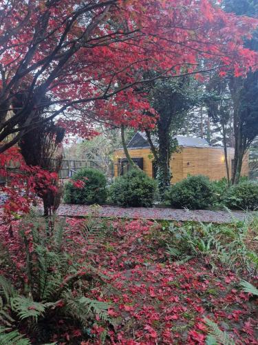 a garden with red flowers and trees and a building at Ty Branwen in Cowbridge