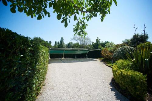 a garden with a green building in the distance at Lydia in Palazzo Vianello