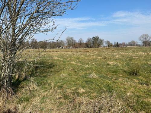 un champ d'herbe avec un arbre au premier plan dans l'établissement Meedehof Moorhausen, WH Ziegenstall, à Varel