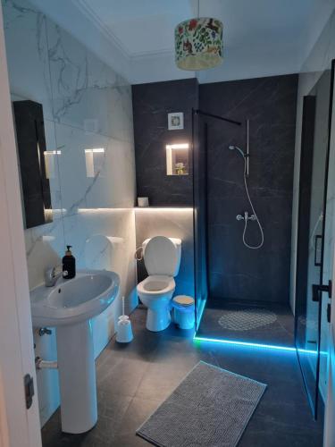 a bathroom with a shower and a toilet and a sink at Mary Studio in Bistriţa