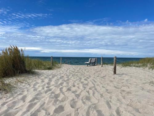 a bench sitting on the beach next to the ocean at Appartementhaus Zingst 5 - Urlaub zwischen Meer & Bodden in Zingst