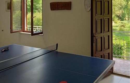 a blue ping pong table in a room with a window at Holiday Home Grab I in Grab