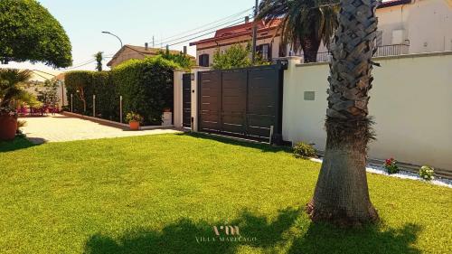 a palm tree in a yard next to a fence at Villa Marelago Guest House in Lido Di Fondi