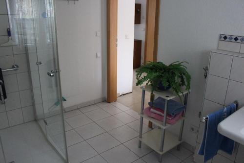 a bathroom with a shower and a plant on a cart at Ferienwohnung am Kittenbach in Utting am Ammersee