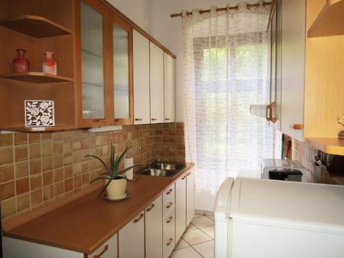 a kitchen with a sink and a counter top at Apartment Stoja in Pula