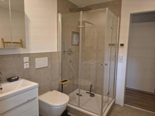 a bathroom with a shower and a toilet and a sink at Appartement83 in Schwäbisch Hall